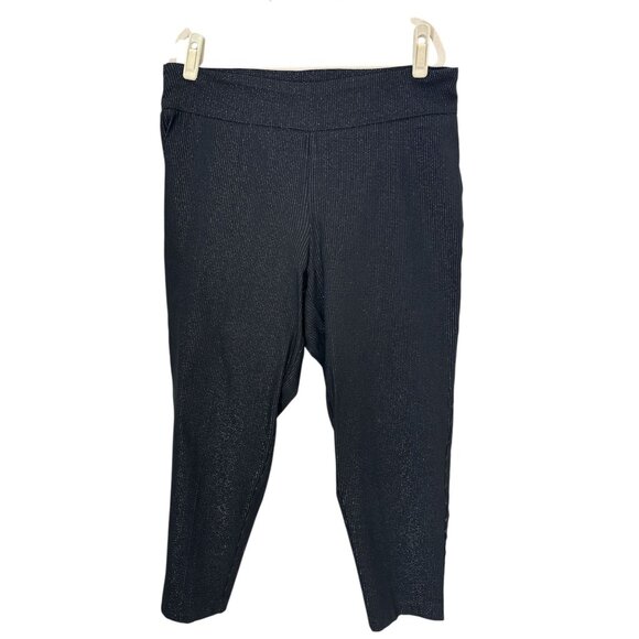 Jones & Co Pull On Skinny Ankle Pants, size 1X - Picture 2 of 13